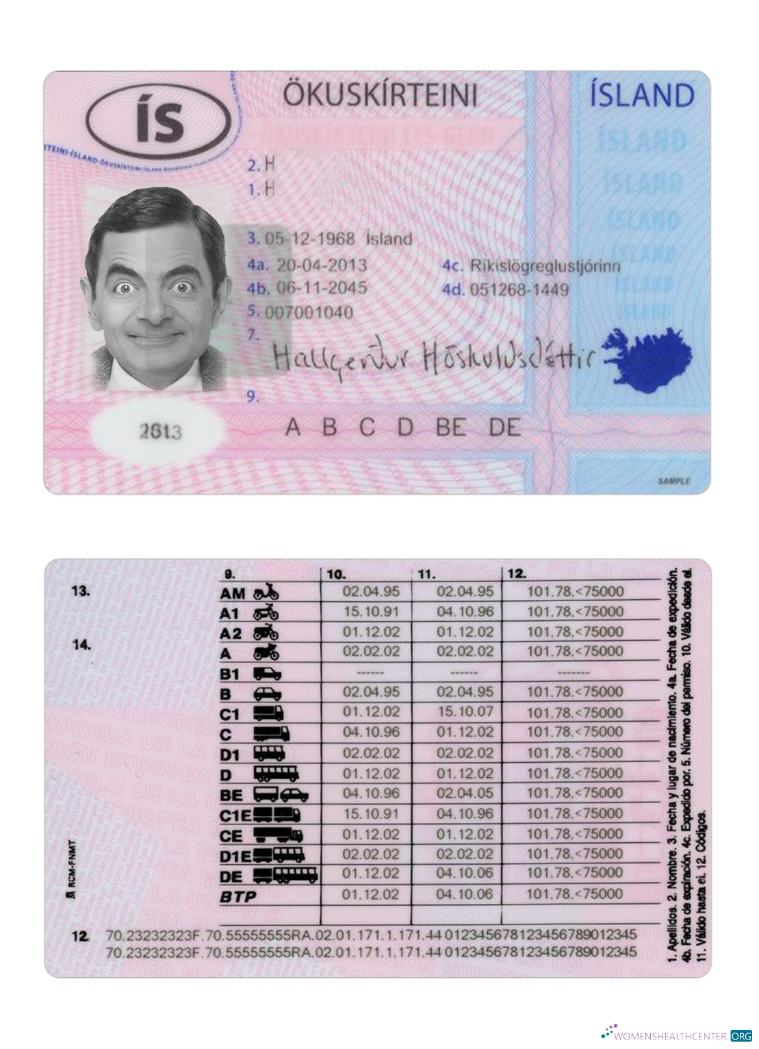 download Iceland driving license 2013 present